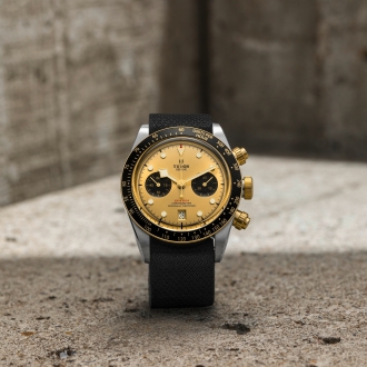 TUDOR-2021-S38-8170