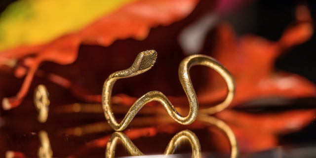 2023_Events_Ole_Banner_Mobil_1 2023_Events_Ole_Banner_Mobil_1